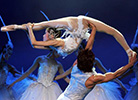 Acrobatic Swan Lake